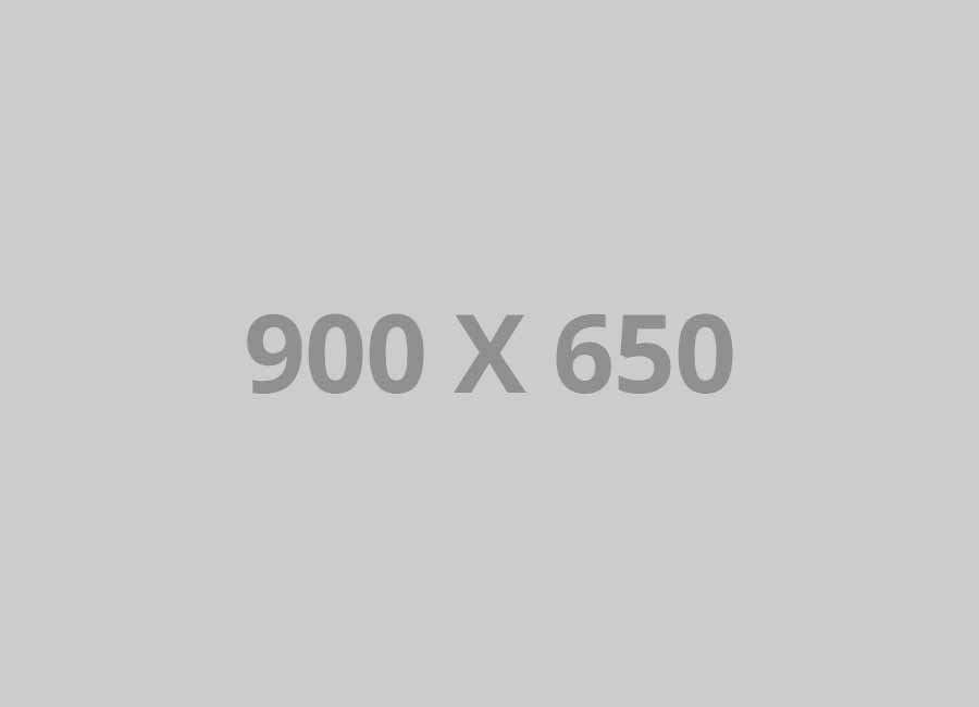 pofo 900x650